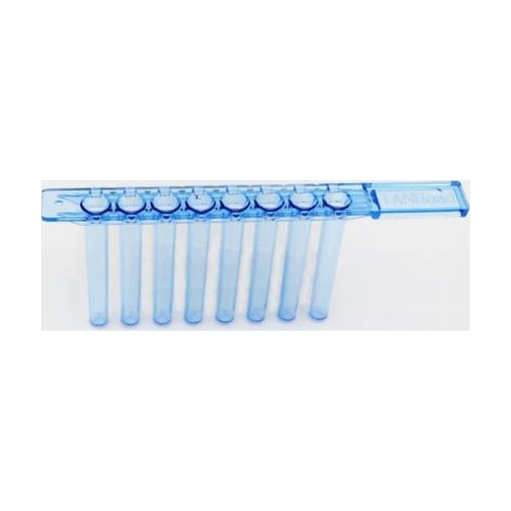 MP Biomedicals&trade;&nbsp;8 barrettes A (couvercle pour tige magnétique) pour MPure-32