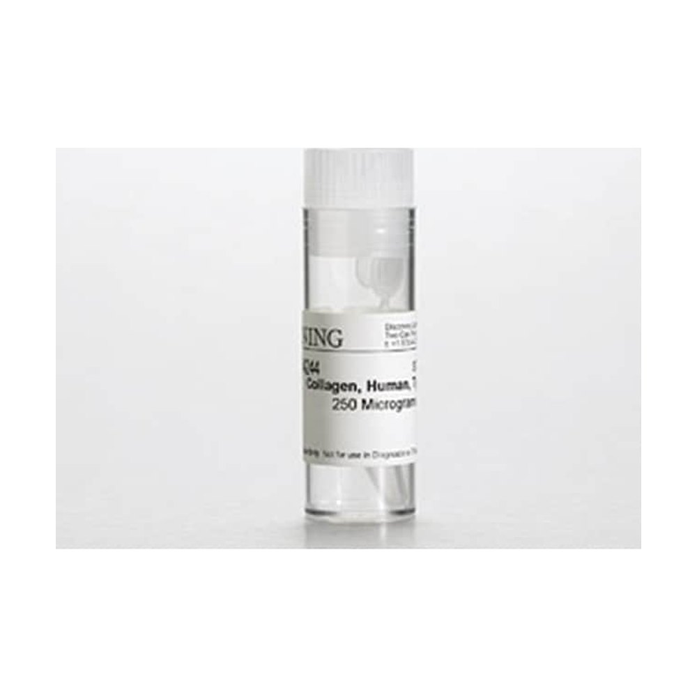 Corning&trade;&nbsp;Collagen III, Human