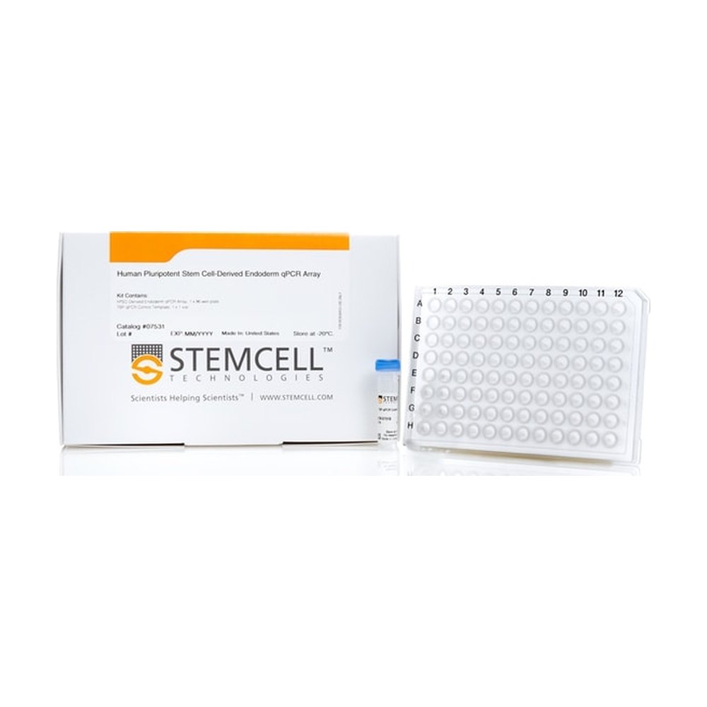 STEMCELL Technologies&nbsp;Array qPCR endoderme dérivé de cellules souches pluripotentes humaines