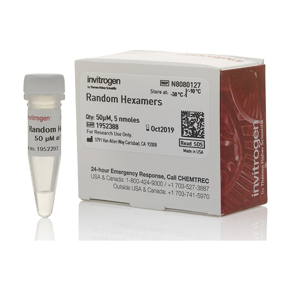 Applied Biosystems&trade;&nbsp;Hexamères aléatoires (50 &mu;M)