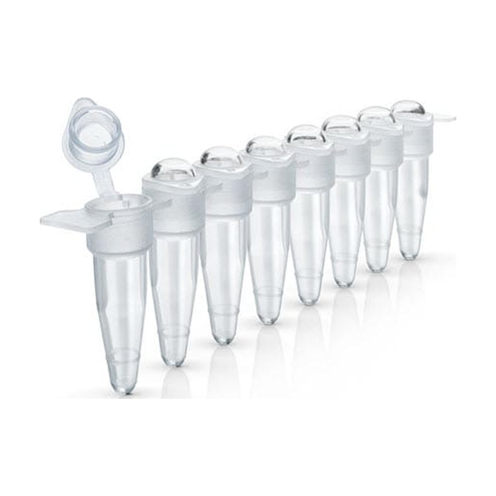 Applied Biosystems&trade;&nbsp;Barrette de 8 tubes MicroAmp&trade; avec bouchons bombés attachés, 0,2 mL