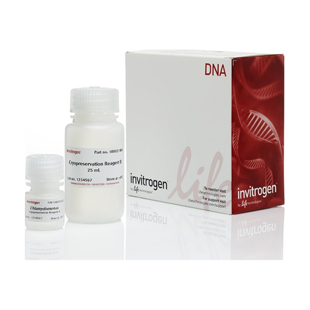 Invitrogen&trade;&nbsp;GeneArt&trade; Cryopreservation Kit for Algae