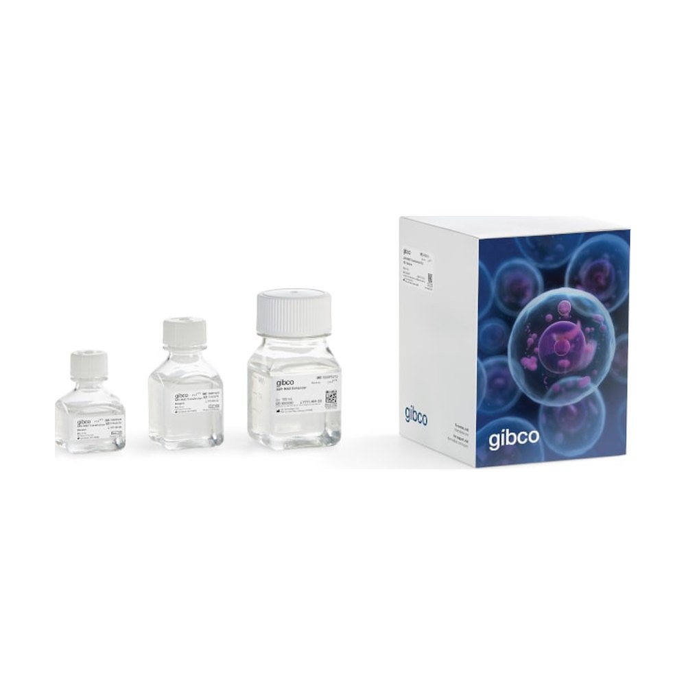 Gibco&trade;&nbsp;AAV-MAX Transfection Kit