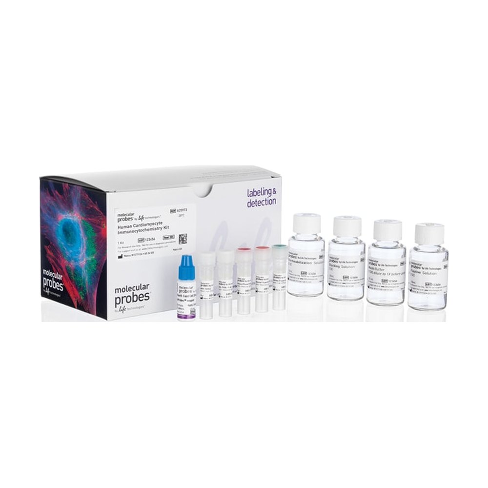 Molecular Probes&trade;&nbsp;Human Cardiomyocyte Immunocytochemistry Kit