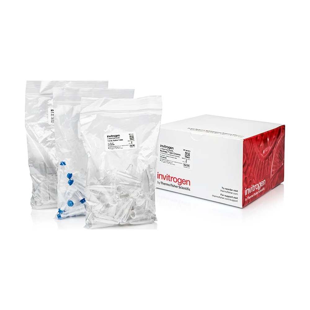 Invitrogen&trade;&nbsp;Colonnes de centrifugation NucAway&trade;