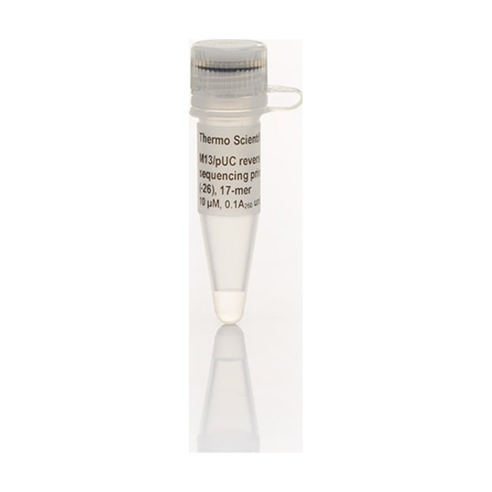 Thermo Scientific™ M13/pUC Reverse Sequencing Primer (-26), 17-mer