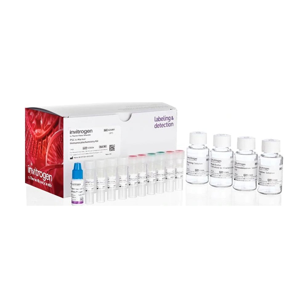 Molecular Probes&trade;&nbsp;Pluripotent Stem Cell 4-Marker Immunocytochemistry Kit