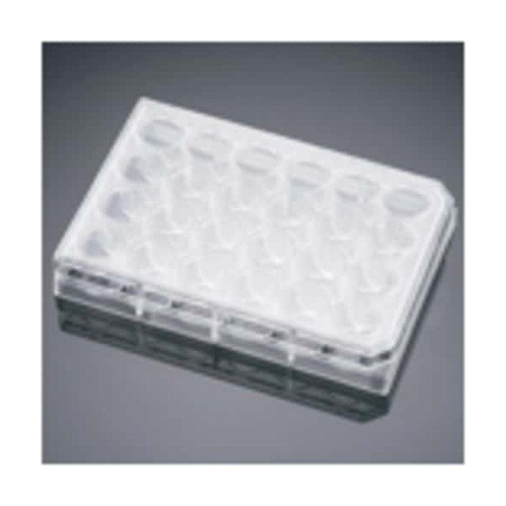 Corning&trade;&nbsp;Plaque multipuits BioCoat&trade; Poly-L-Ornithine/Laminine