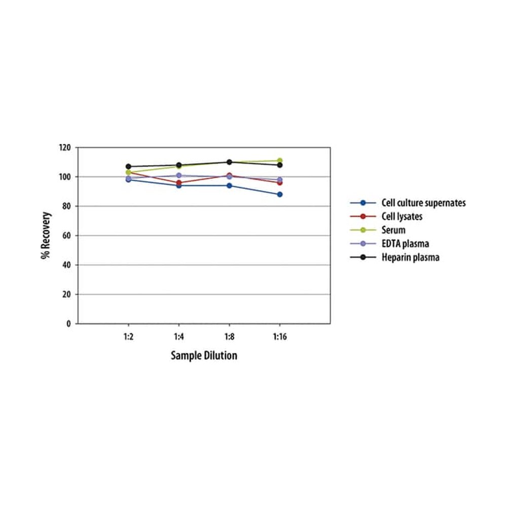 R&amp;D Systems&trade;&nbsp;Kit ELISA Quantikine IL-1 beta/IL-1F2 de souris