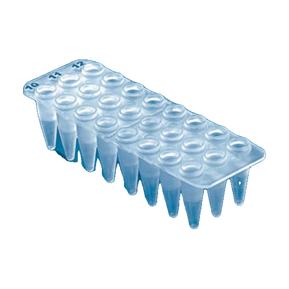 BRAND&trade;&nbsp;Plaque PCR à 24 puits