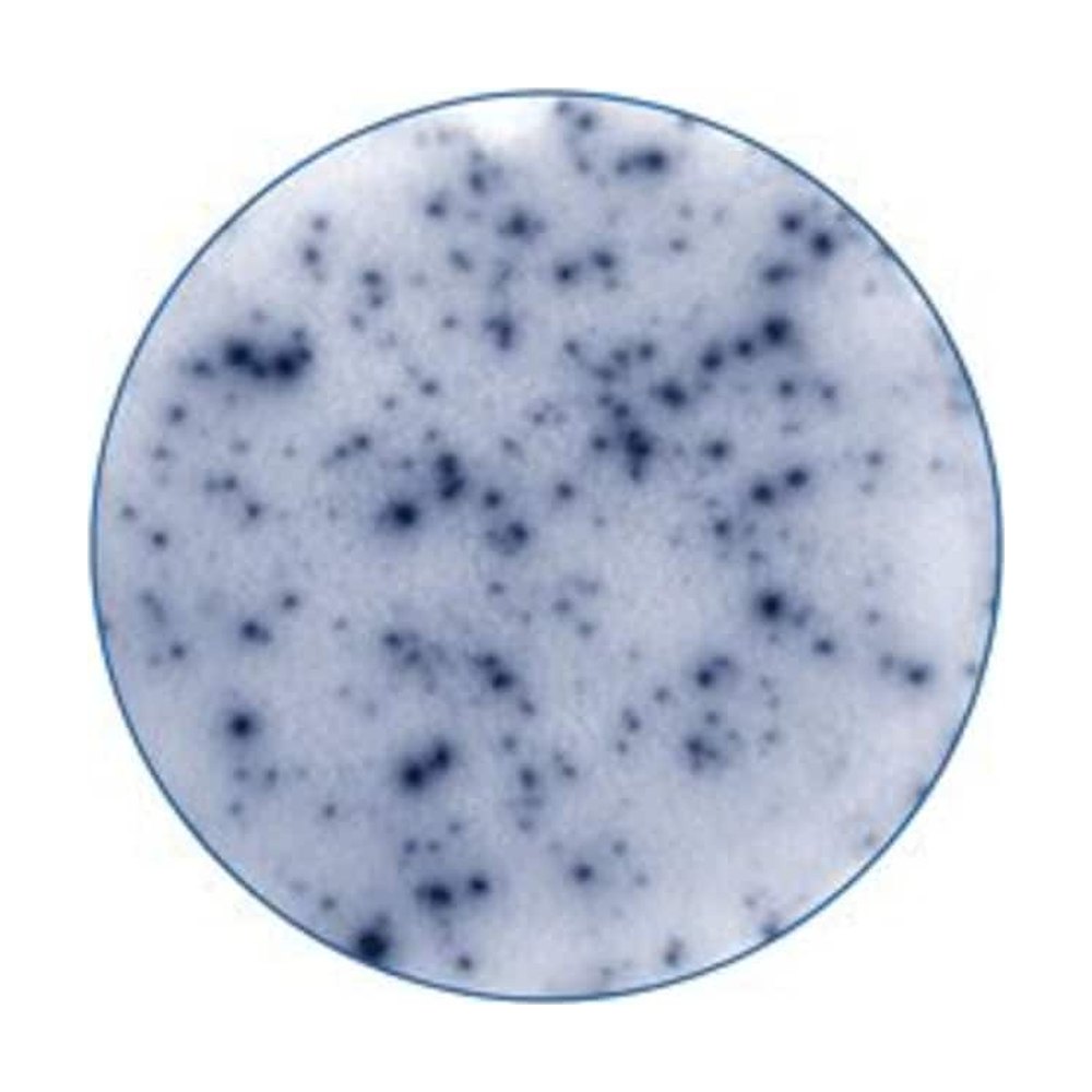 R&amp;D Systems&trade;&nbsp;Human Granzyme B ELISpot Kit