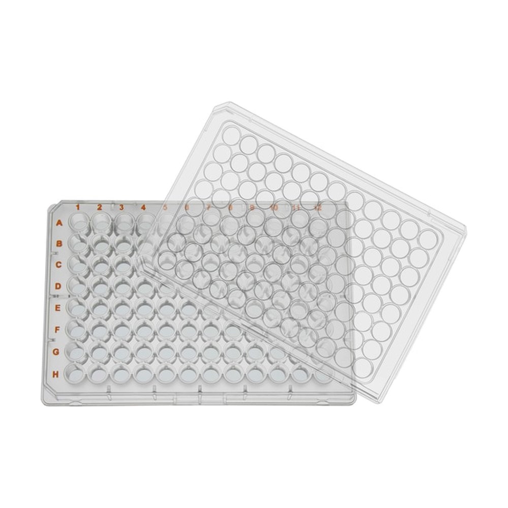 BRAND&trade;&nbsp;Microplaque à fond plat à 96 puits, traitée par cellGrade plus, BRAND<i>plates</i> cellGrade&trade;