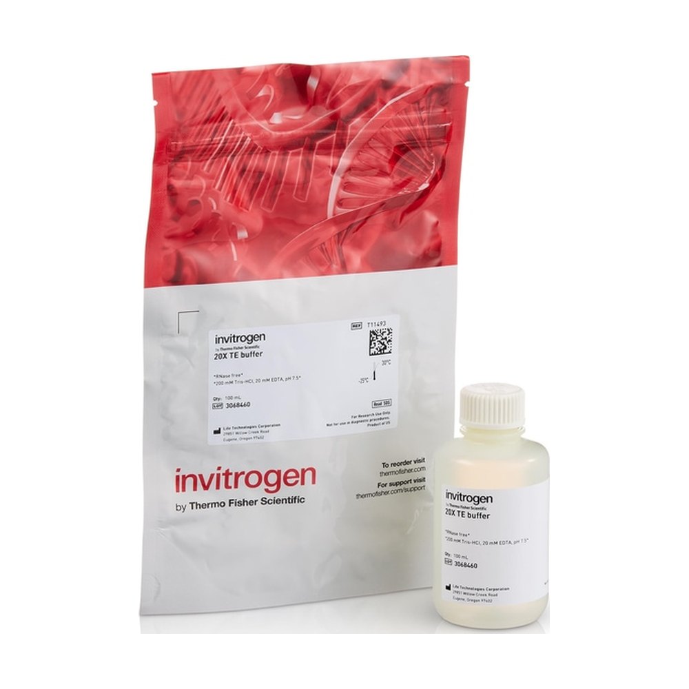 Invitrogen&trade;&nbsp;Tampon TE (20X), exempt de RNase