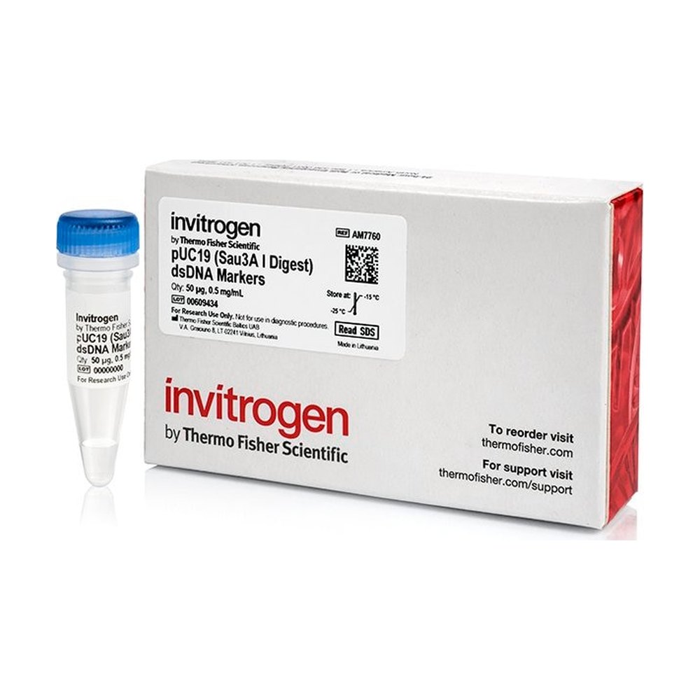 Invitrogen™ pUC19 DNA (Sau3A I digested)