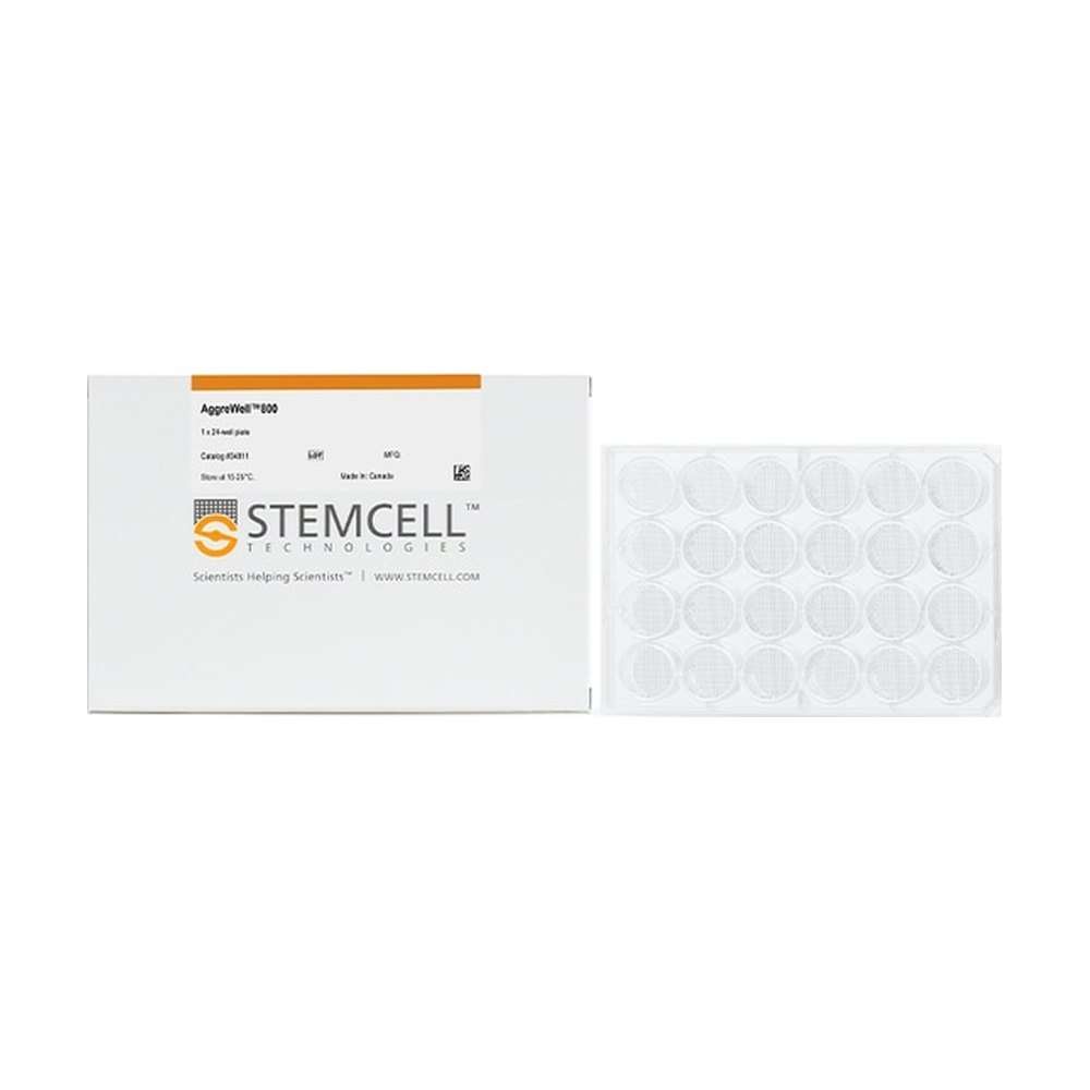 STEMCELL Technologies&nbsp;Plaque 24 puits AggreWell&trade;800, lot de 5