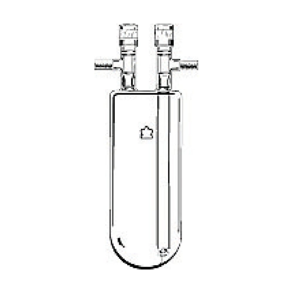 DWK Life Sciences&nbsp;BOUTEILLE ATMOS 2L 2 VALVES