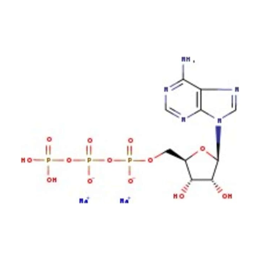  Thermo Scientific Chemicals Hydrate de sel disodique de l’adénosine-5’-triphosphate, 98 %