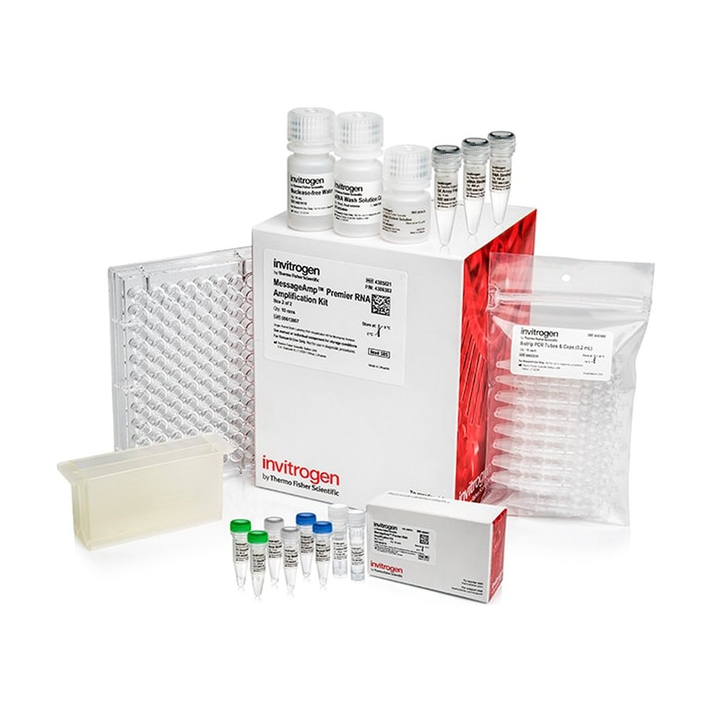 Invitrogen&trade;&nbsp;MessageAmp&trade; Premier RNA Amplification Kit