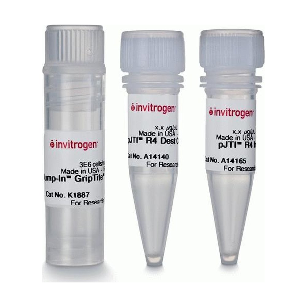 Thermo Scientific&trade;&nbsp;Jump-In&trade; GripTite&trade; HEK 293 Kit