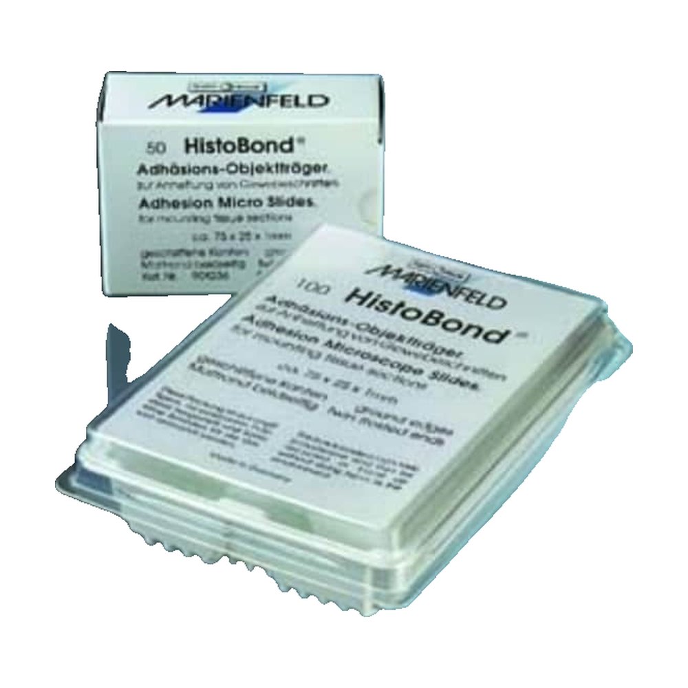 Marienfeld Superior&trade;&nbsp;Lames de microscope adhésives HistoBond&trade;