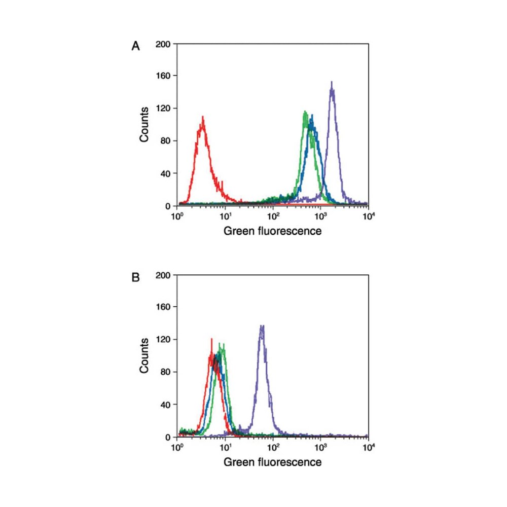 Invitrogen&trade;&nbsp;Molecular Probes&trade; TSA&trade; Kit 22, with HRP-Streptavidin and Alexa Fluor&trade; 488 Tyramide