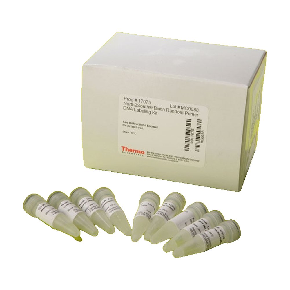Thermo Scientific&trade;&nbsp;North2South&trade; Biotin Random Prime DNA Labeling Kit