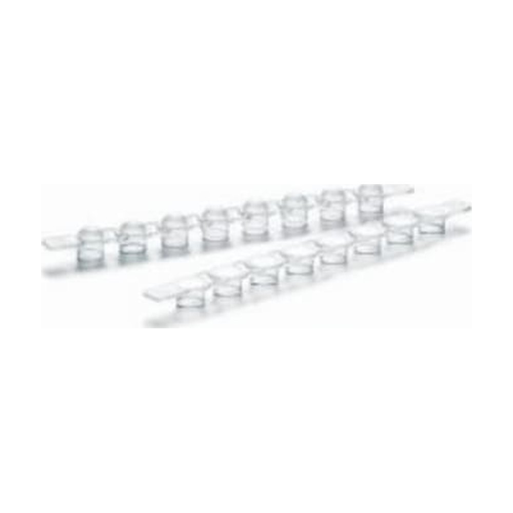 Eppendorf&trade;&nbsp;Bandes de capuchon PCR, bombées