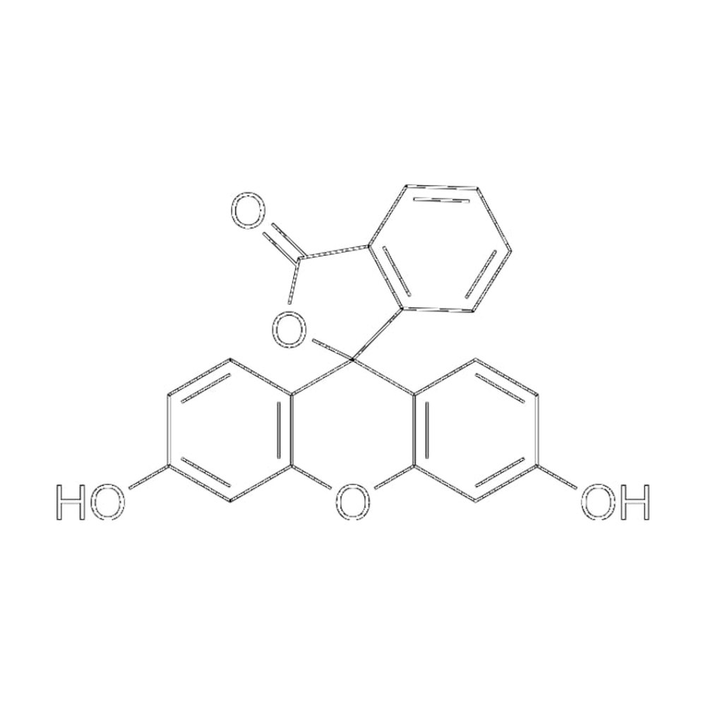 MedChemExpress&nbsp;Fluorescein