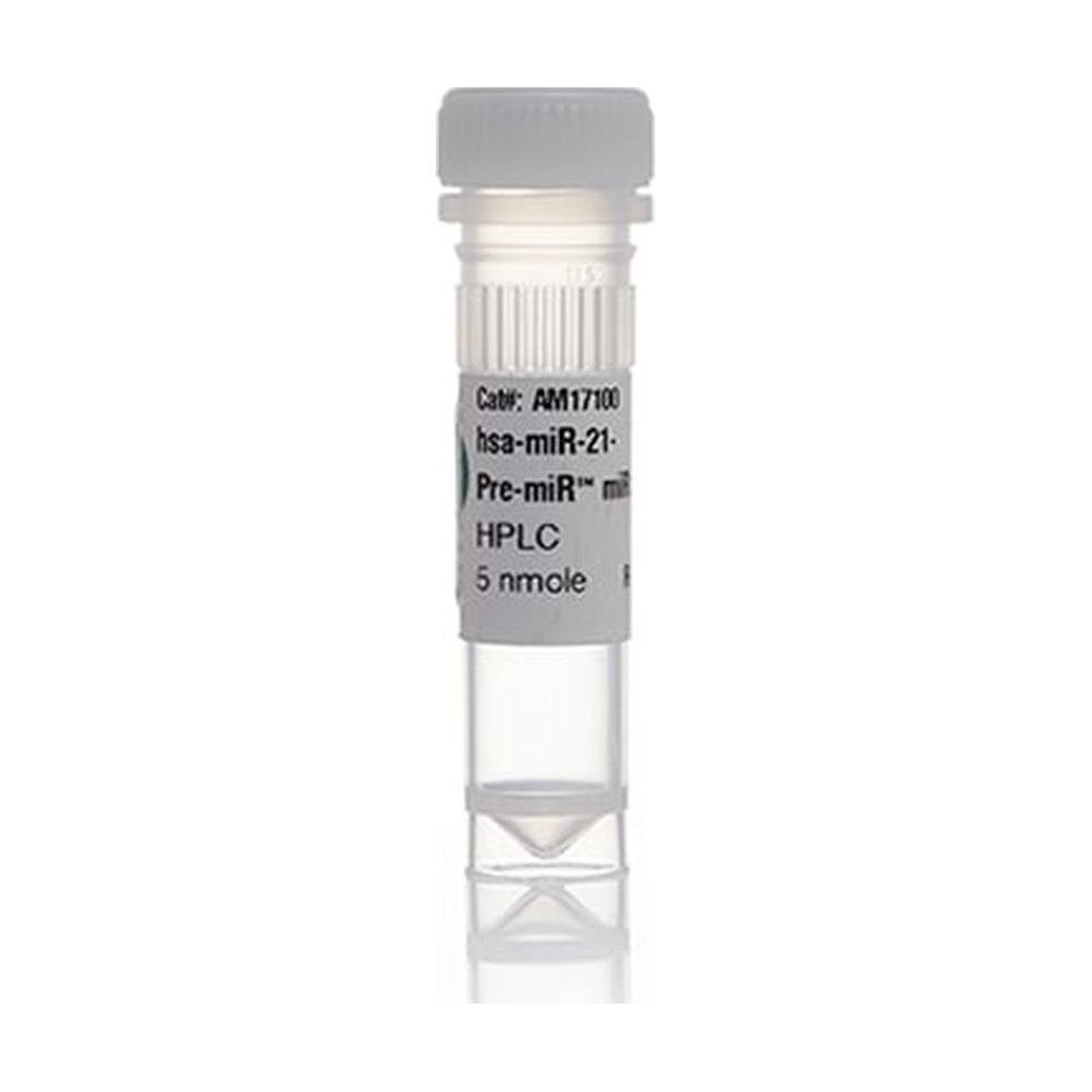 Ambion&trade;&nbsp;Pre-miR&trade; miRNA Precursor