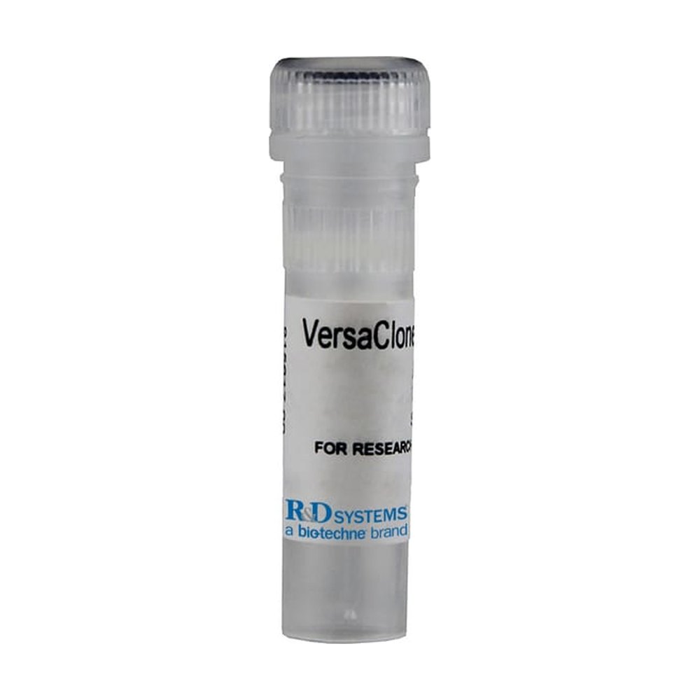 R&amp;D Systems&trade;&nbsp;Rat TIM-1/KIM-1/HAVCR (NP_775172) VersaClone cDNA