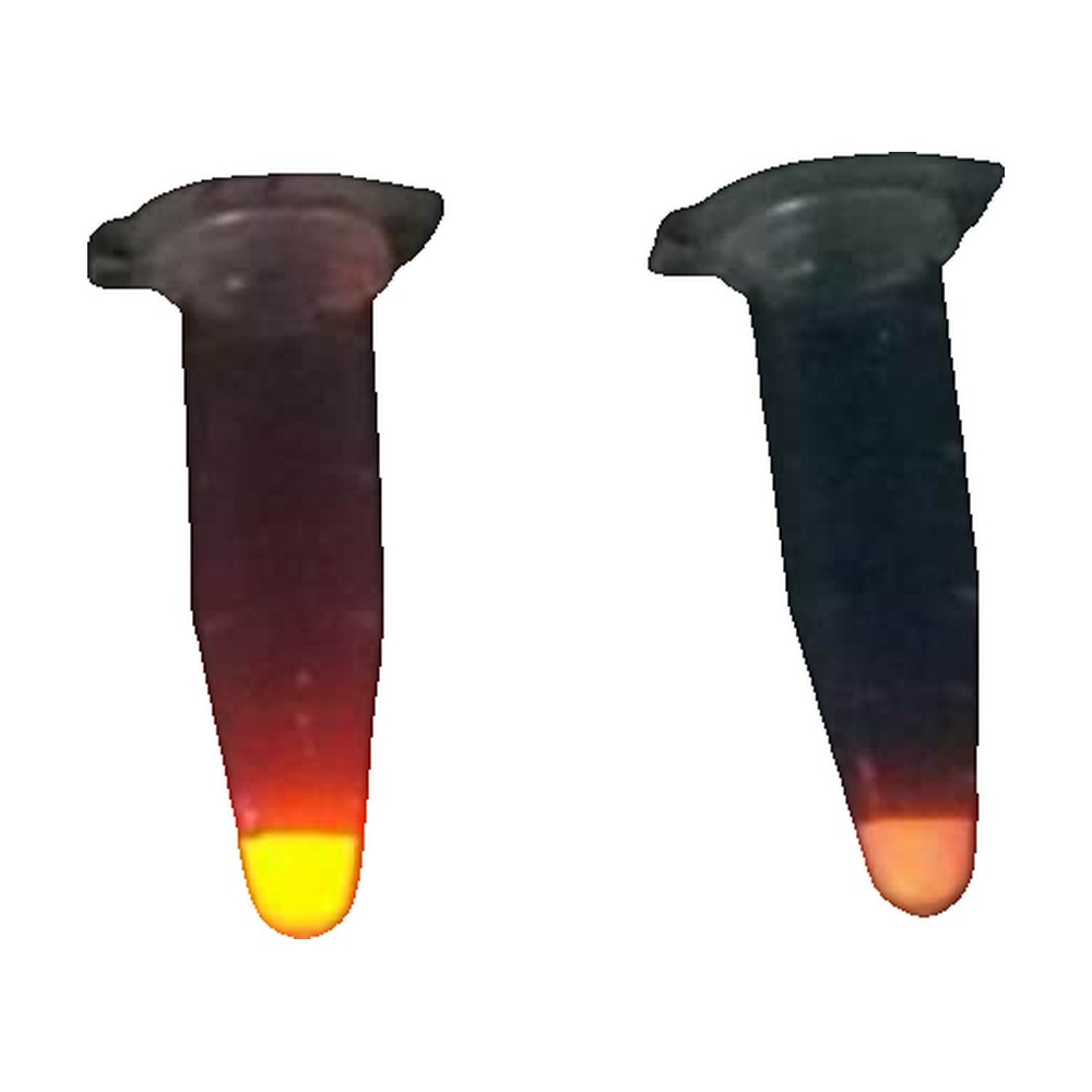 Novus Biologicals&trade;&nbsp;Europium Streptavidin MIDI