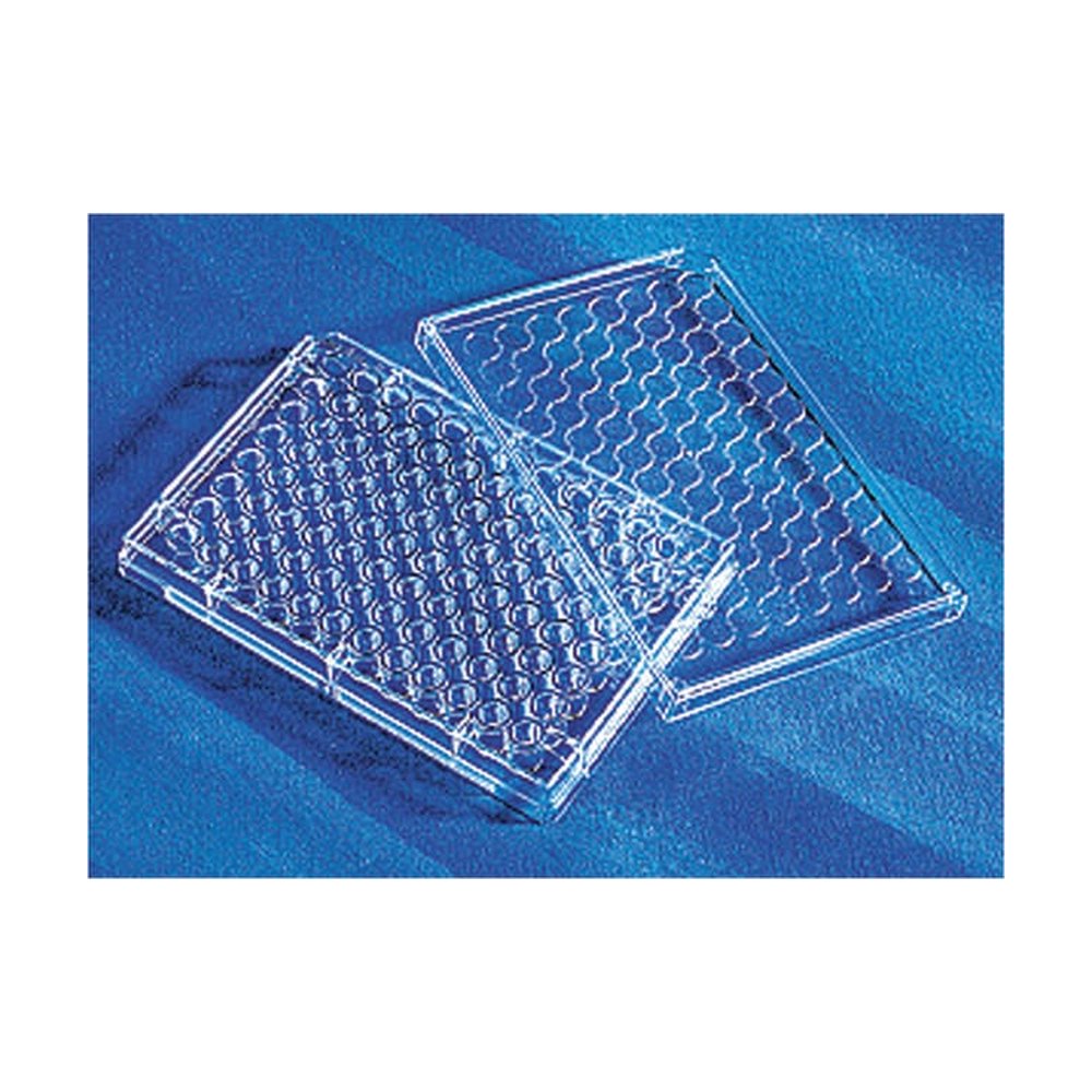 Corning™ Microplaques avec surface traitée pour analyses Osteo