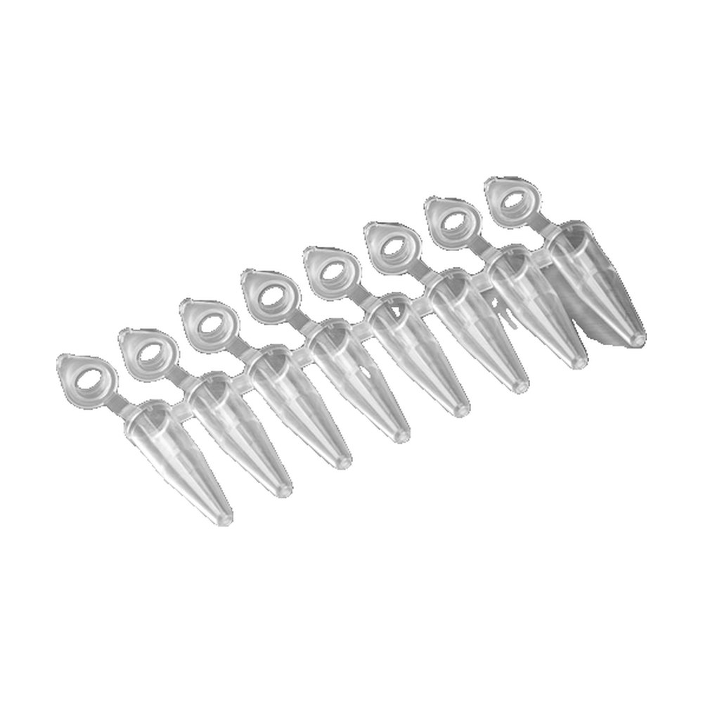 Axygen&trade;&nbsp;Barrettes de tubes PCR en polypropylène de 0,2 ml