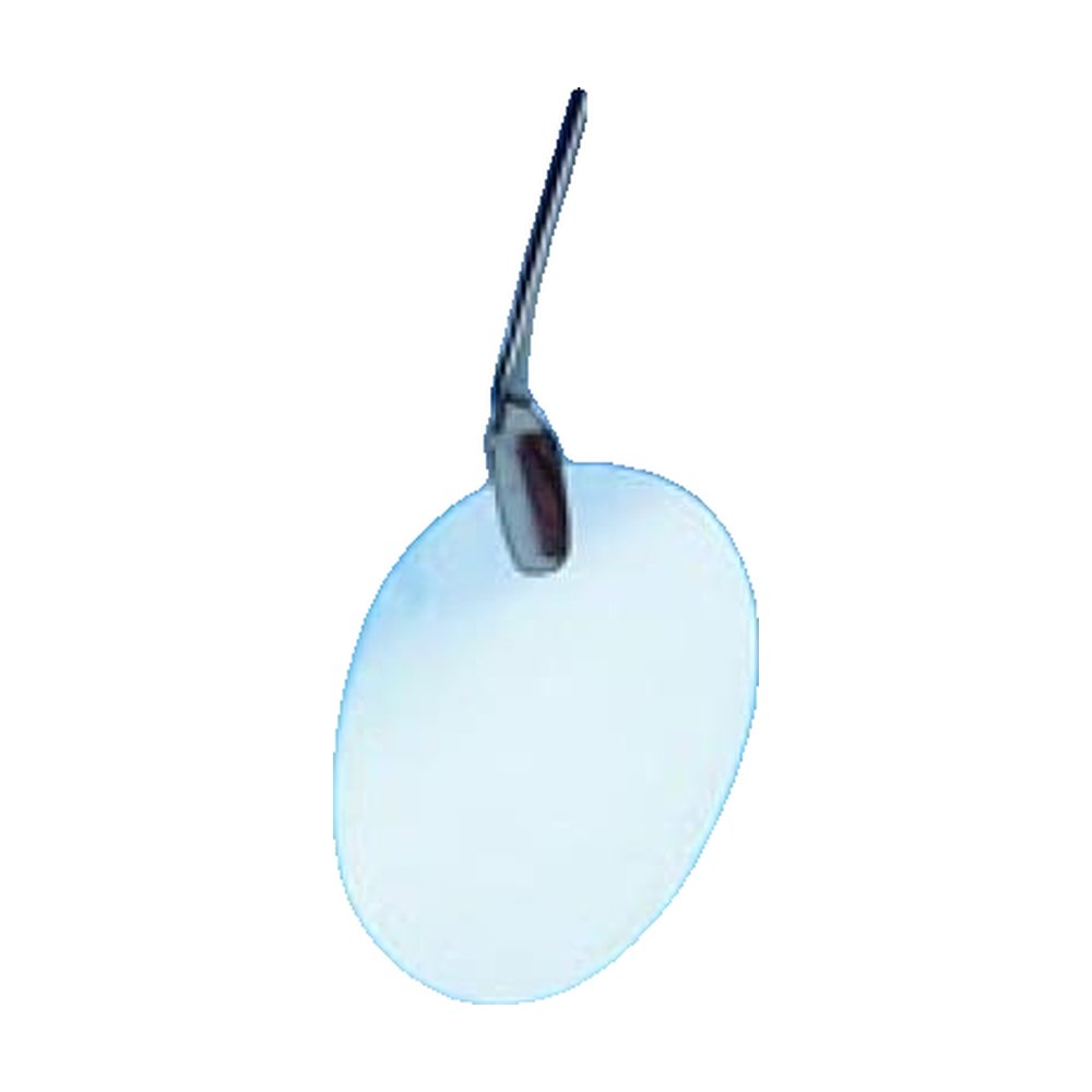 Cytiva&nbsp;Membrane de culture cellulaire en polycarbonate sans PVP Whatman&trade;