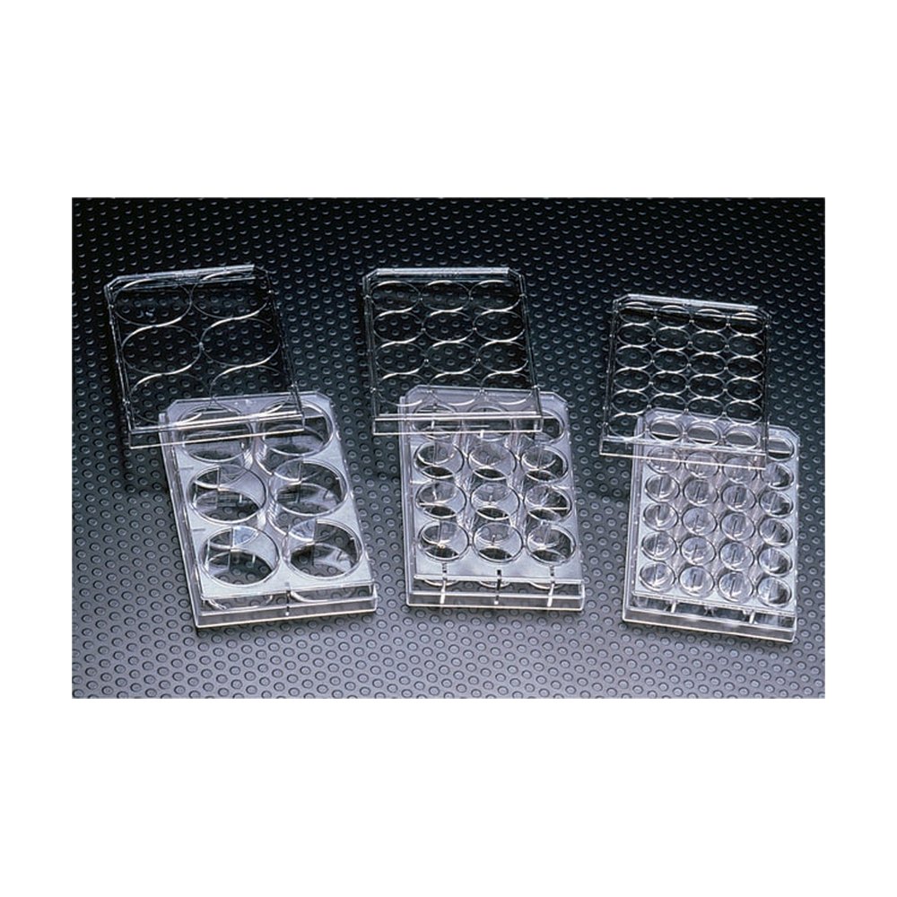 Falcon&trade;&nbsp;Microplaques en PS