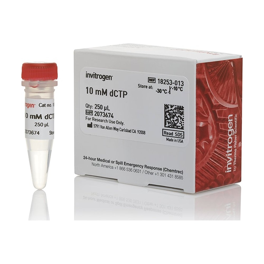 Invitrogen&trade;&nbsp;dCTP (10 mM)