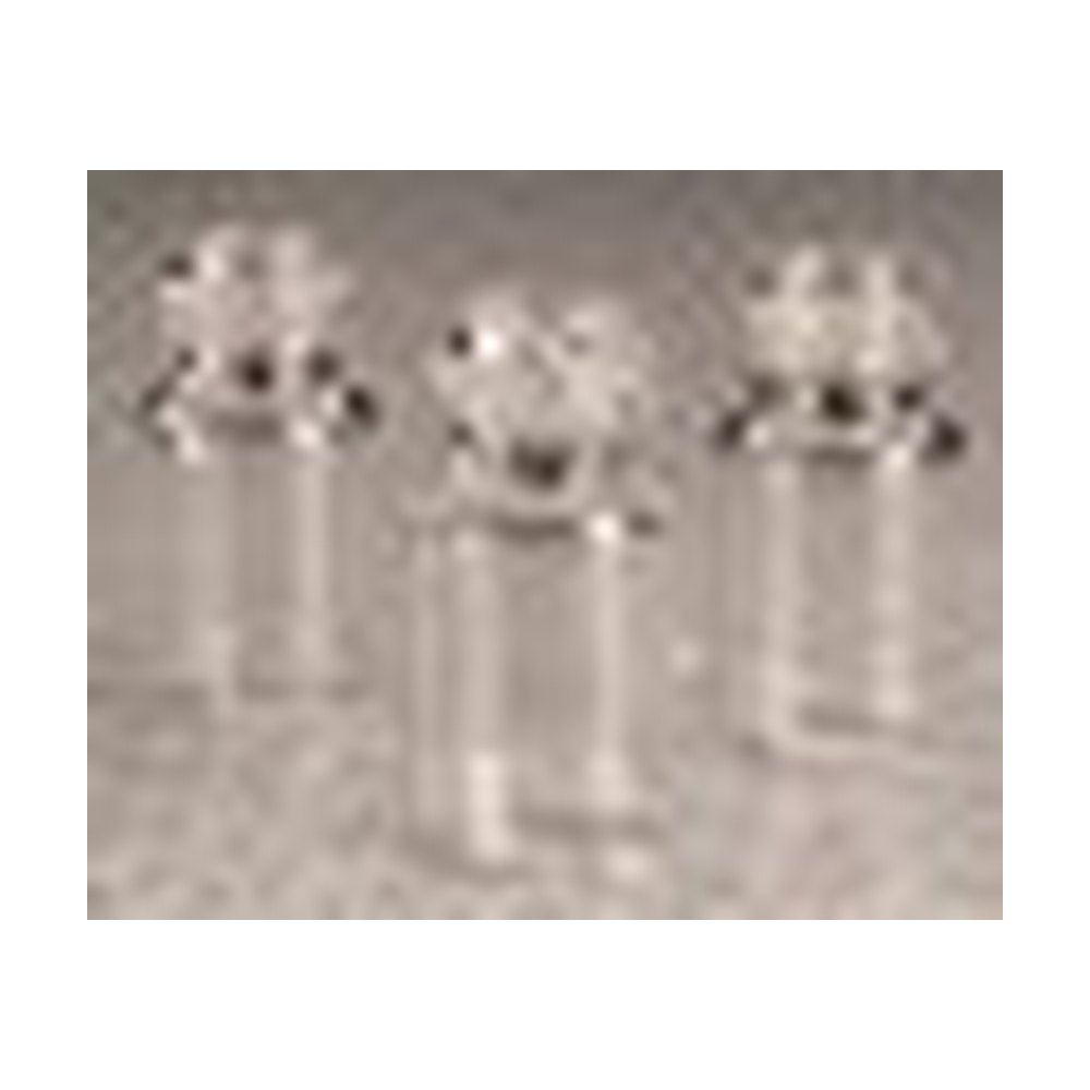 Thermo Scientific&trade;&nbsp;Flacons de sérum en PETG Nalgene&trade; avec filetage continu : modules stériles sous film thermorétracté