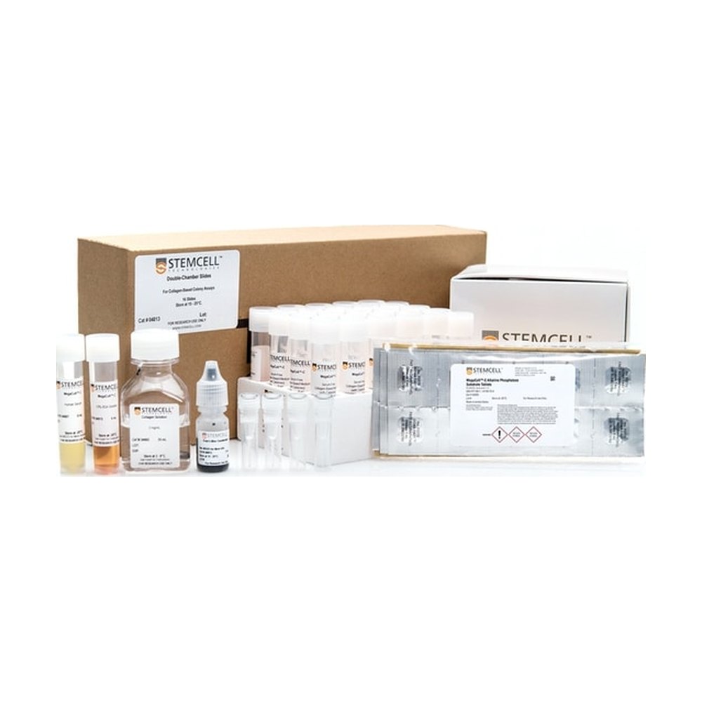 STEMCELL Technologies&nbsp;Kit de lames à double chambre