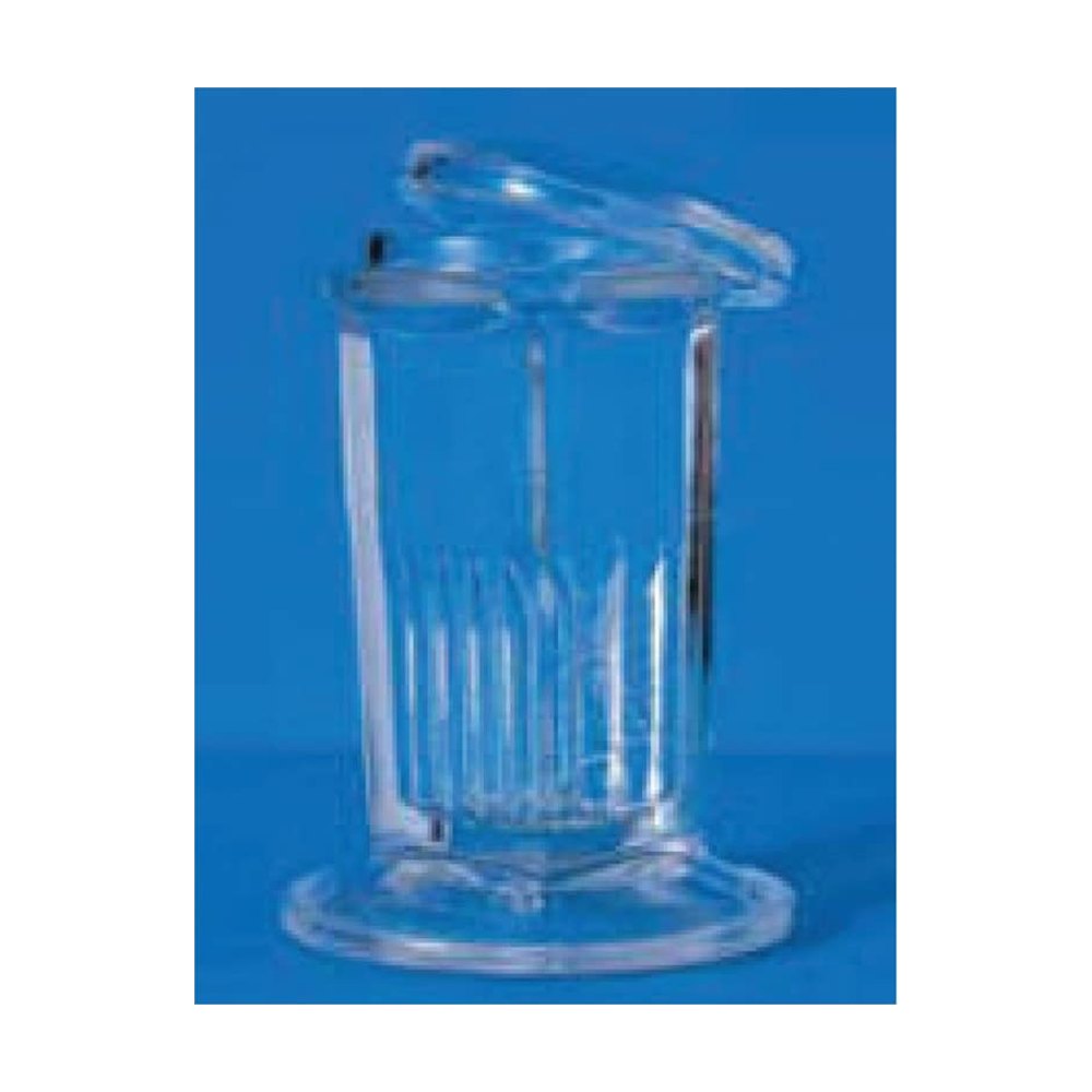Epredia™ Cuve de Coplin en verre RA Lamb, peut contenir 5 lames (10 dos à dos)