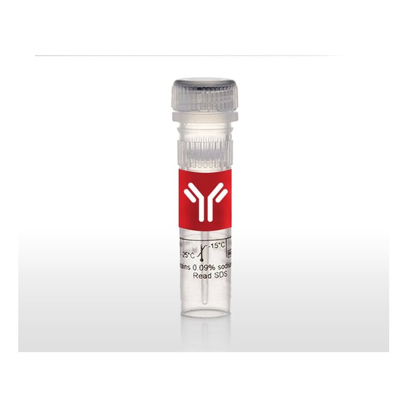 Peptides
