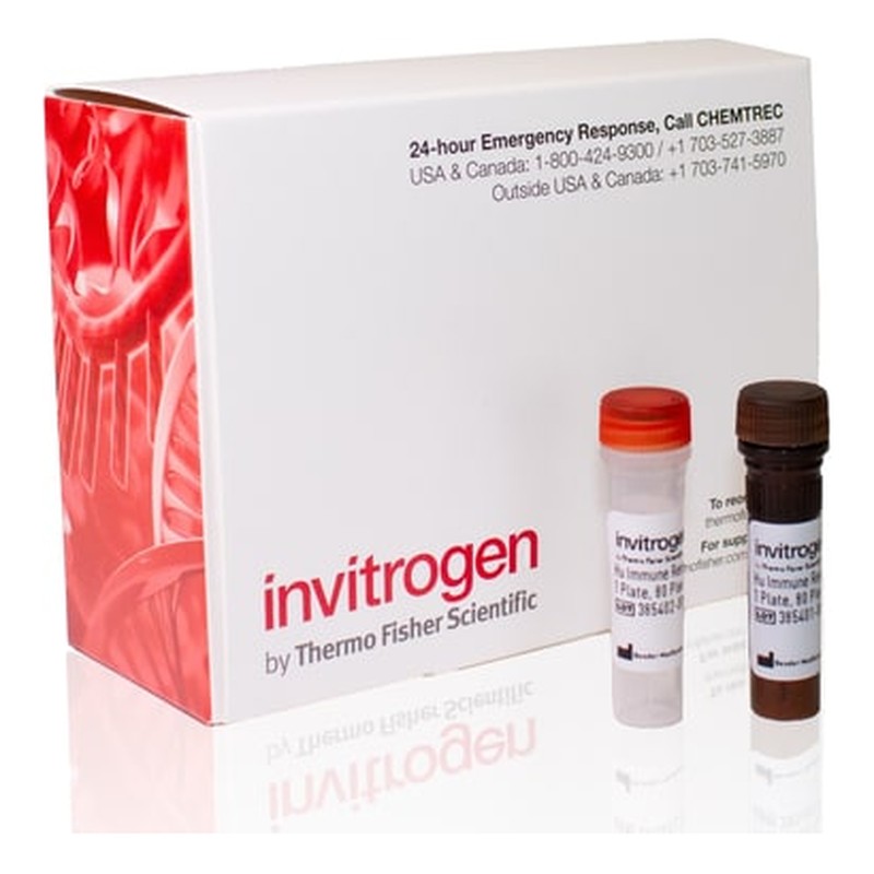 Gene Expression Screening Assays