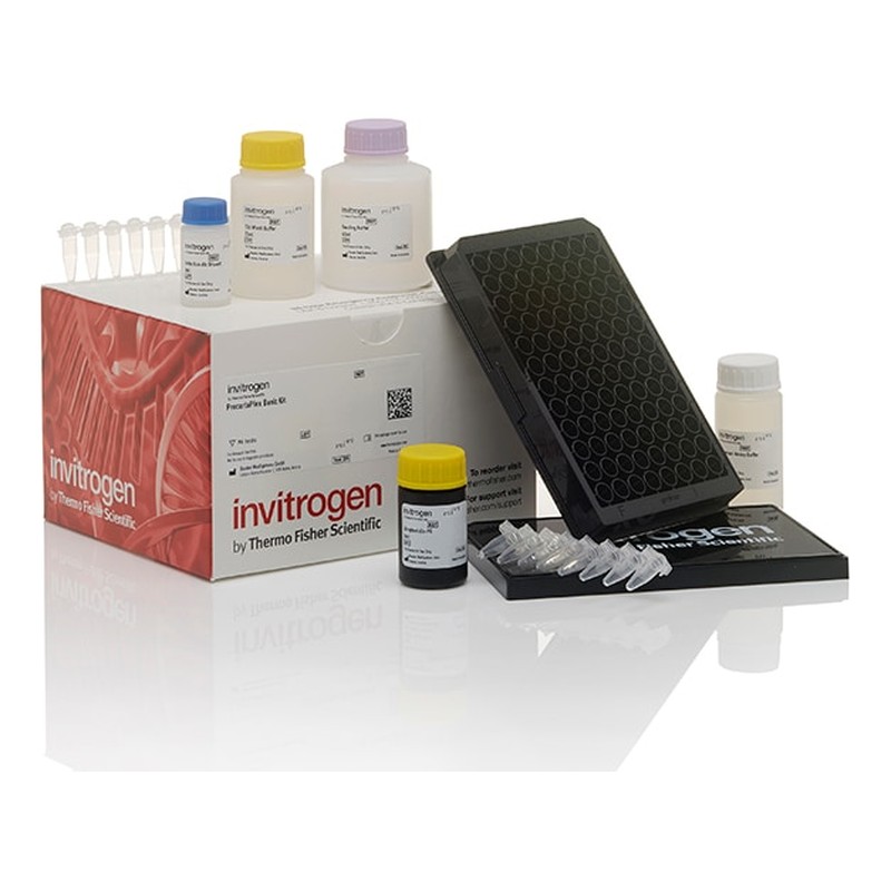 Singleplex and Multiplex Bead Based Immunoassays