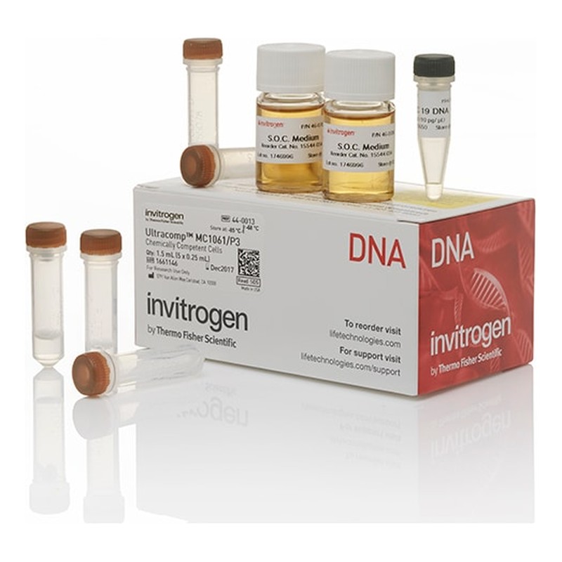 Cellules compétentes