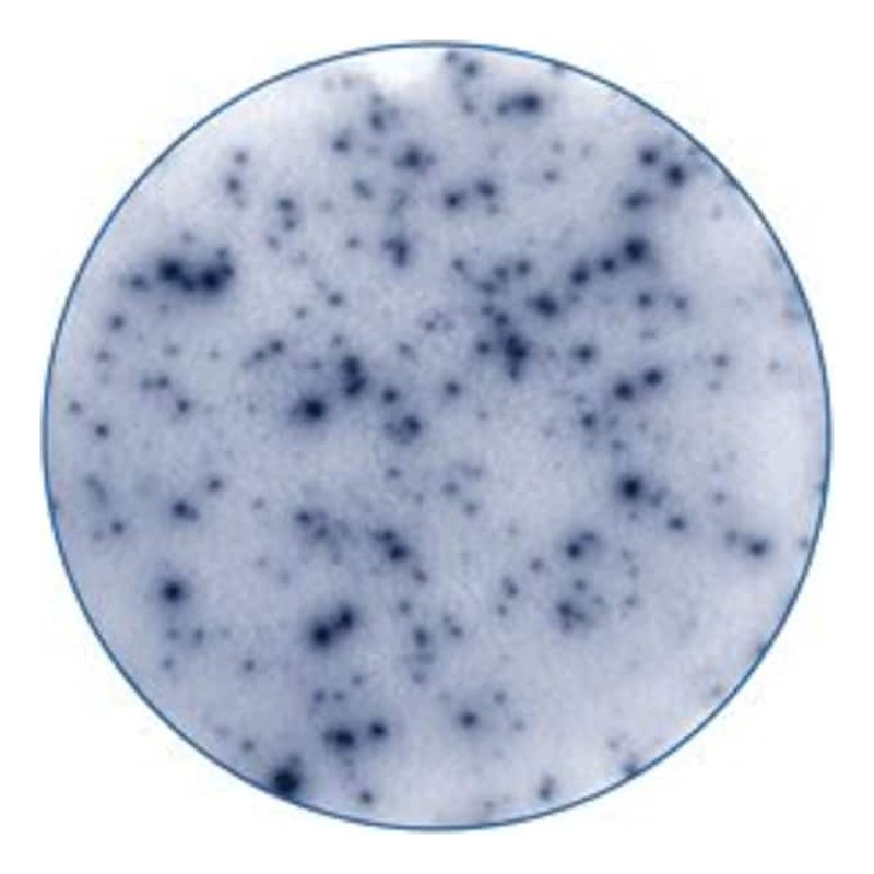Kits et réactifs d’immunohistochimie