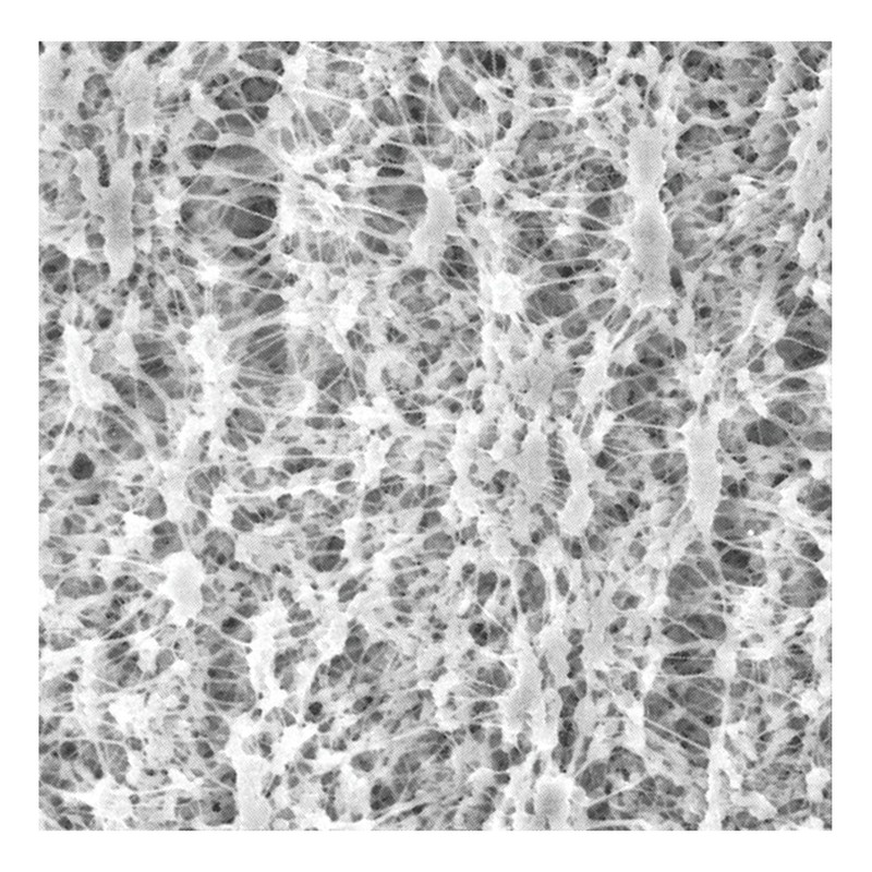 Feuilles à membrane de filtration