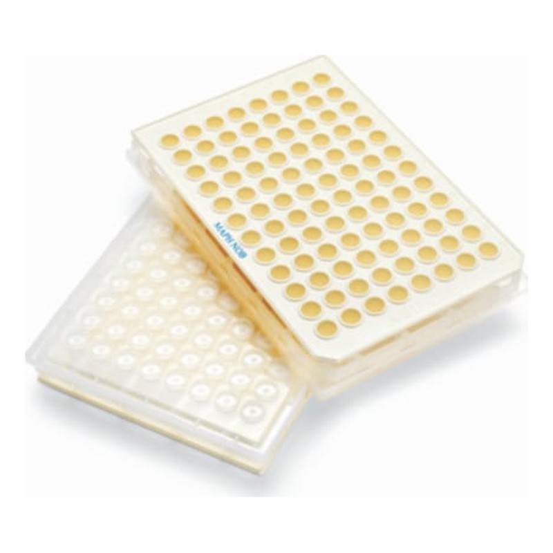 Plaques de filtration