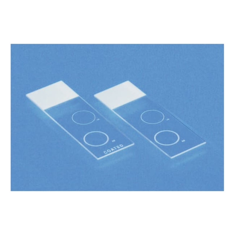 Lames porte-objets imprimées pour diagnostic